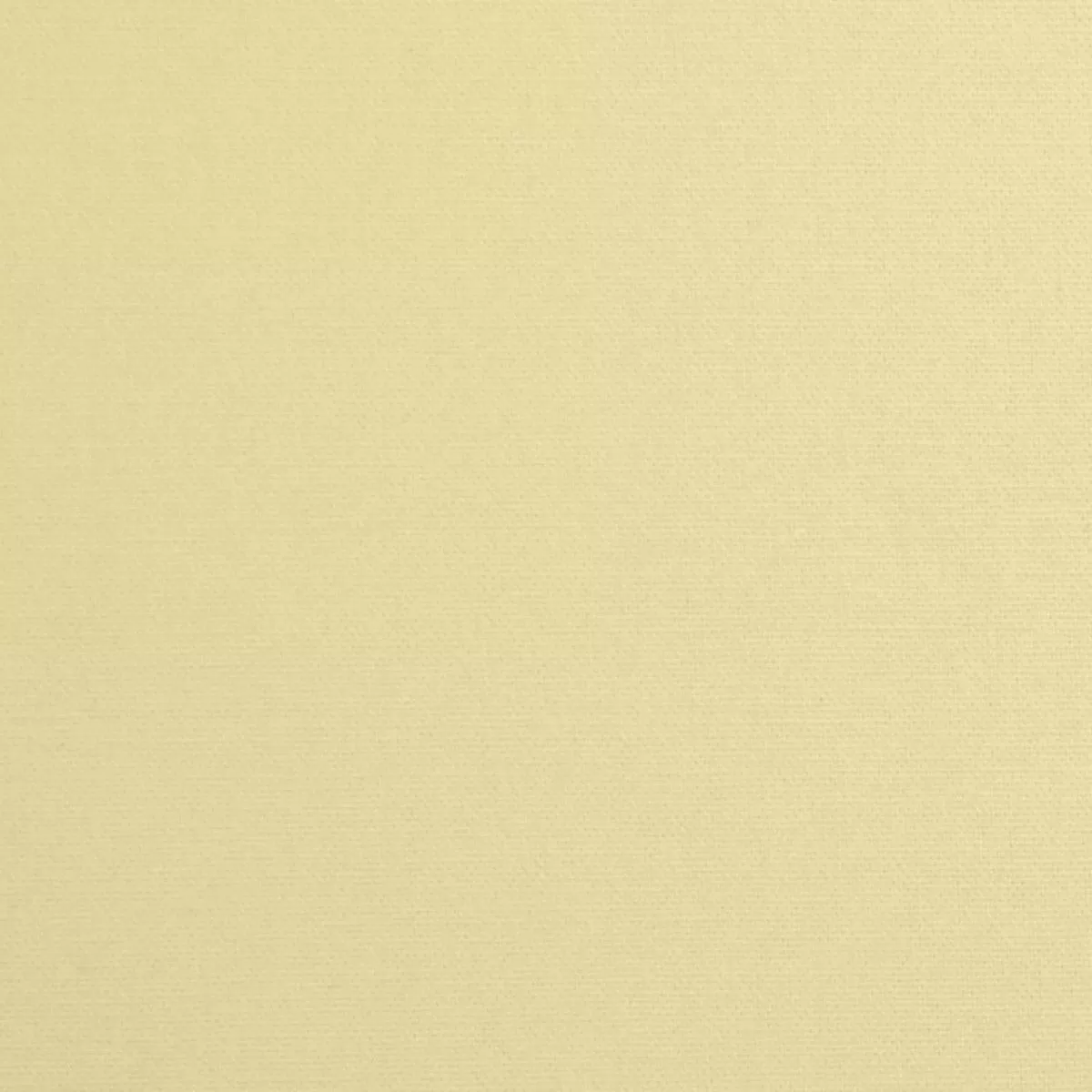 daffy-eggshell Daffy-Eggshell