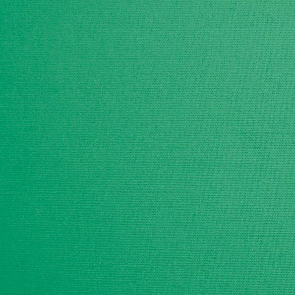 daffy-seagreen Daffy-Seagreen