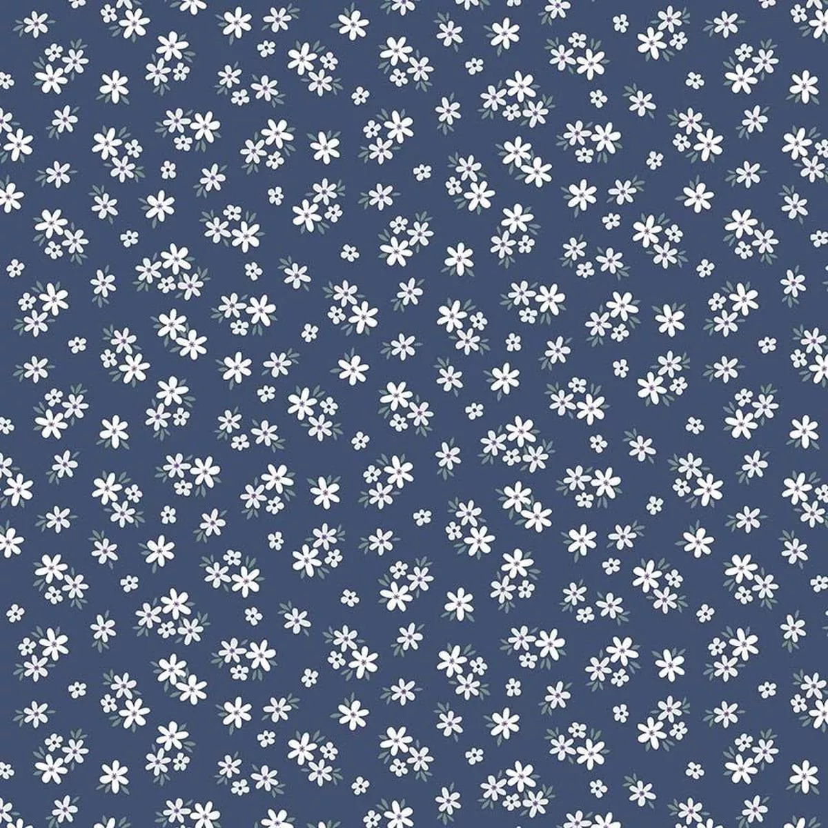 Dear Stella – My First Pick – Indigo D3591