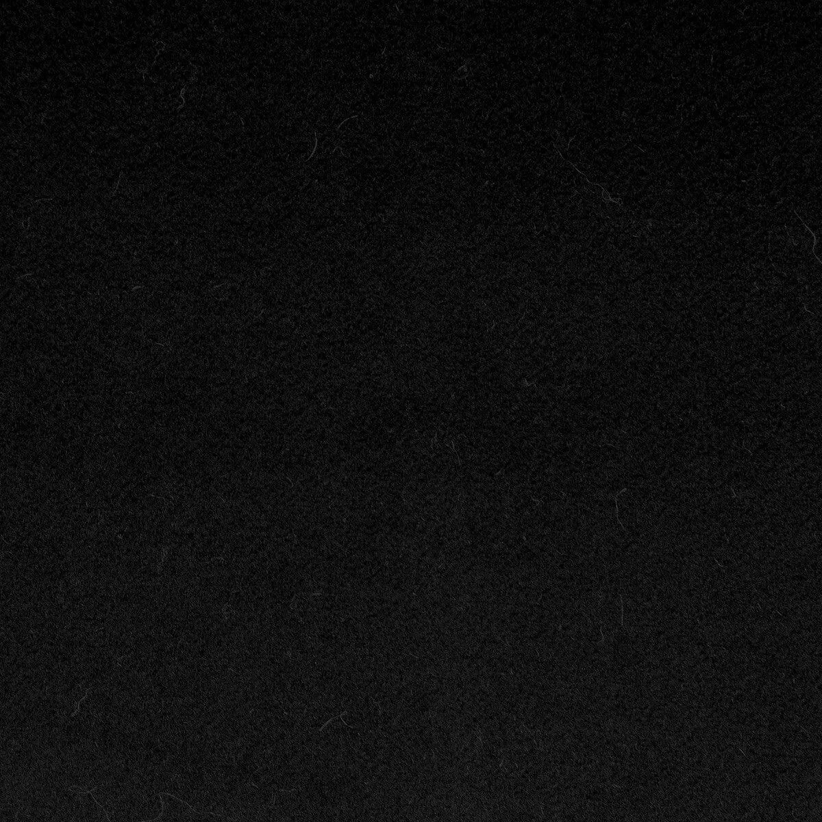 Denver Black Fabric
