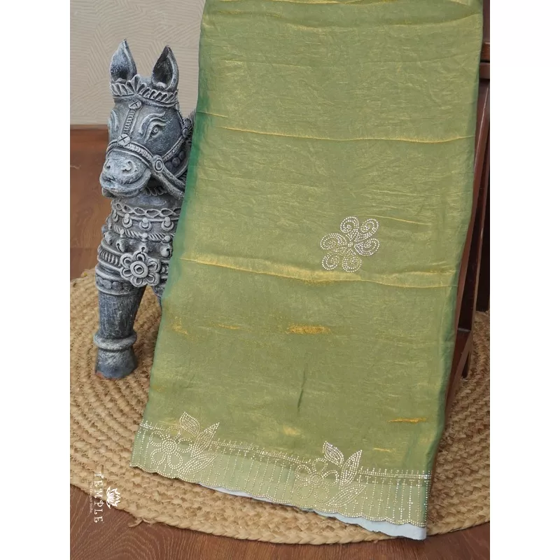 designer-saree-with-stone-work-ttds2934 Designer Saree With Stone Work | TTDS2934