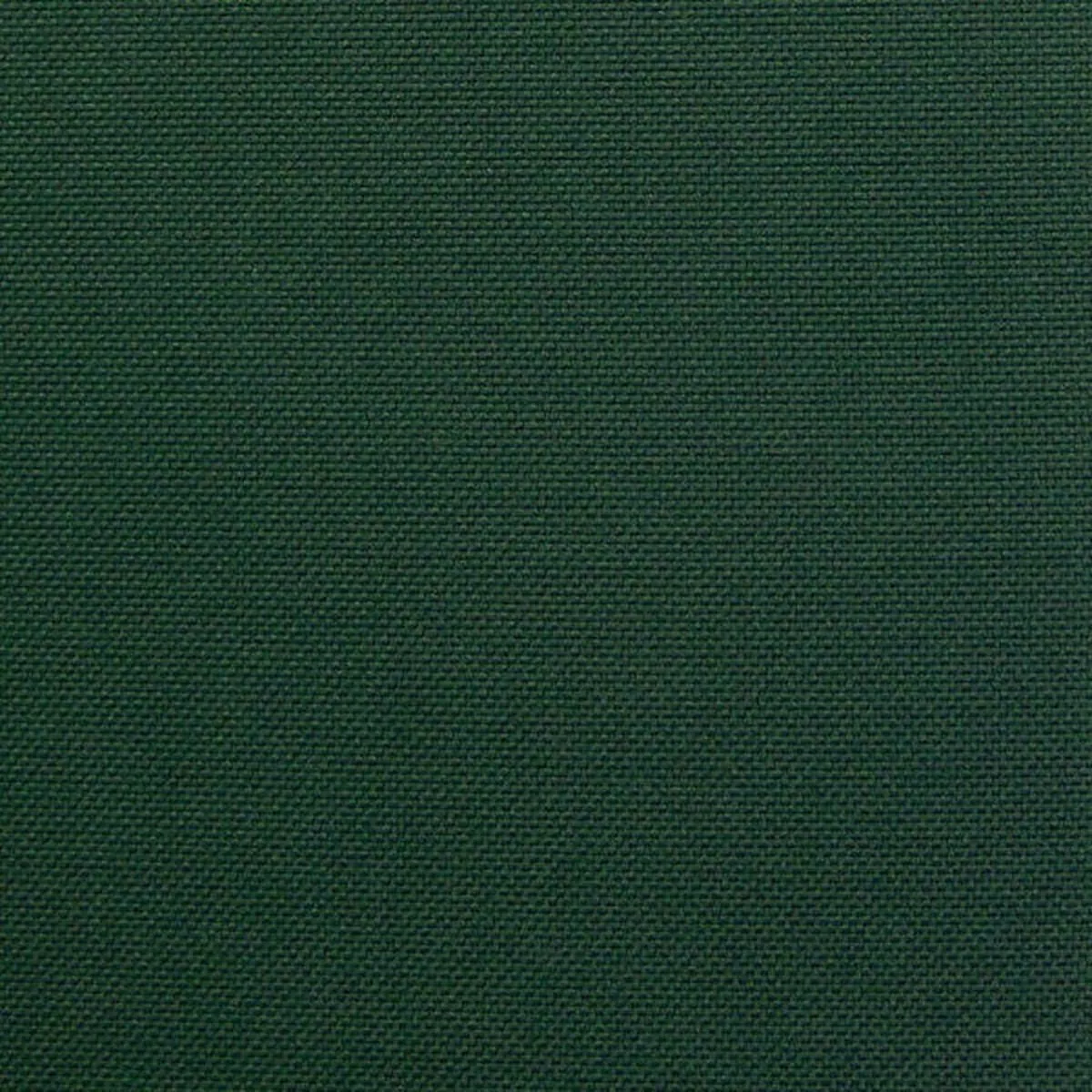 designtex-regis-pachysandra-solid-green-upholstery-fabric Designtex Regis Pachysandra Solid Green Upholstery Fabric