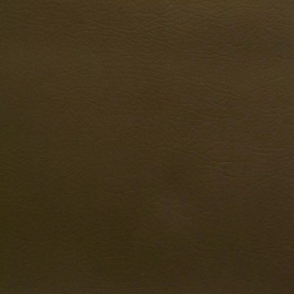 Designtex Spandau Forest Upholstery Vinyl