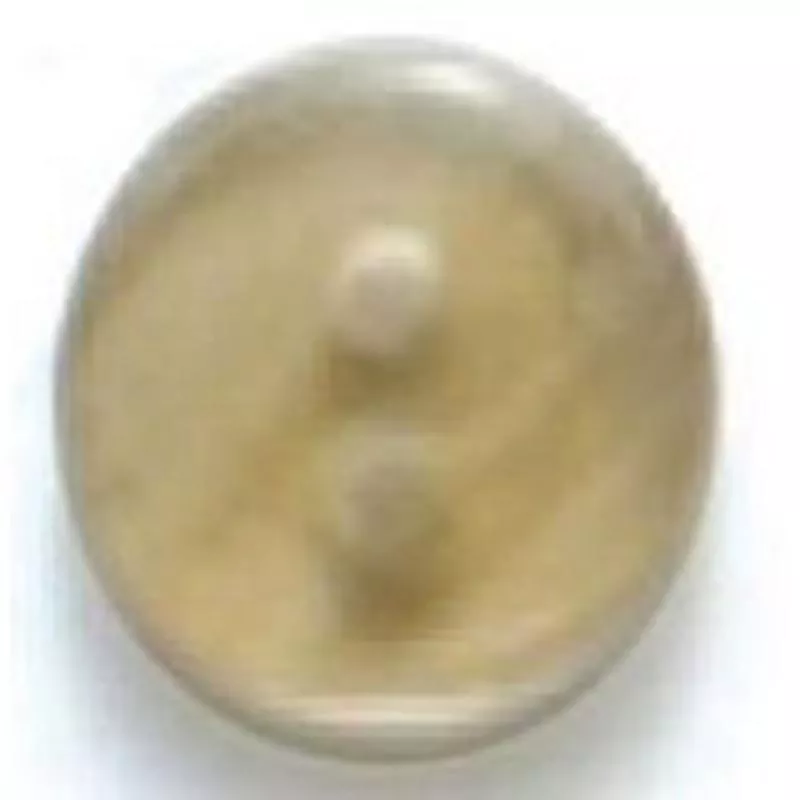 Dill Buttons DB1015