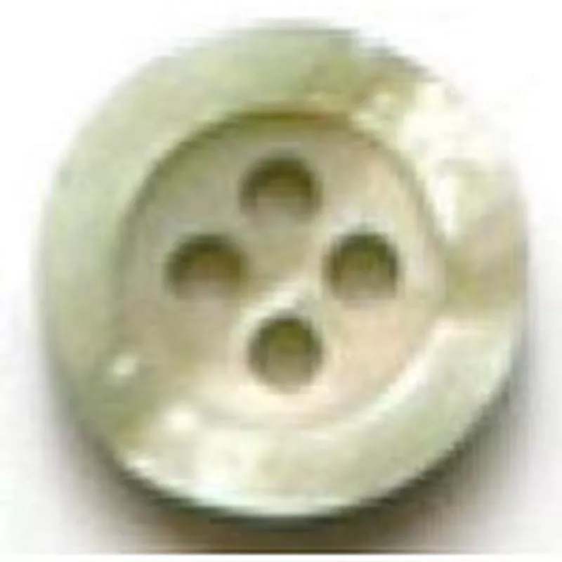 Dill Buttons DB1205