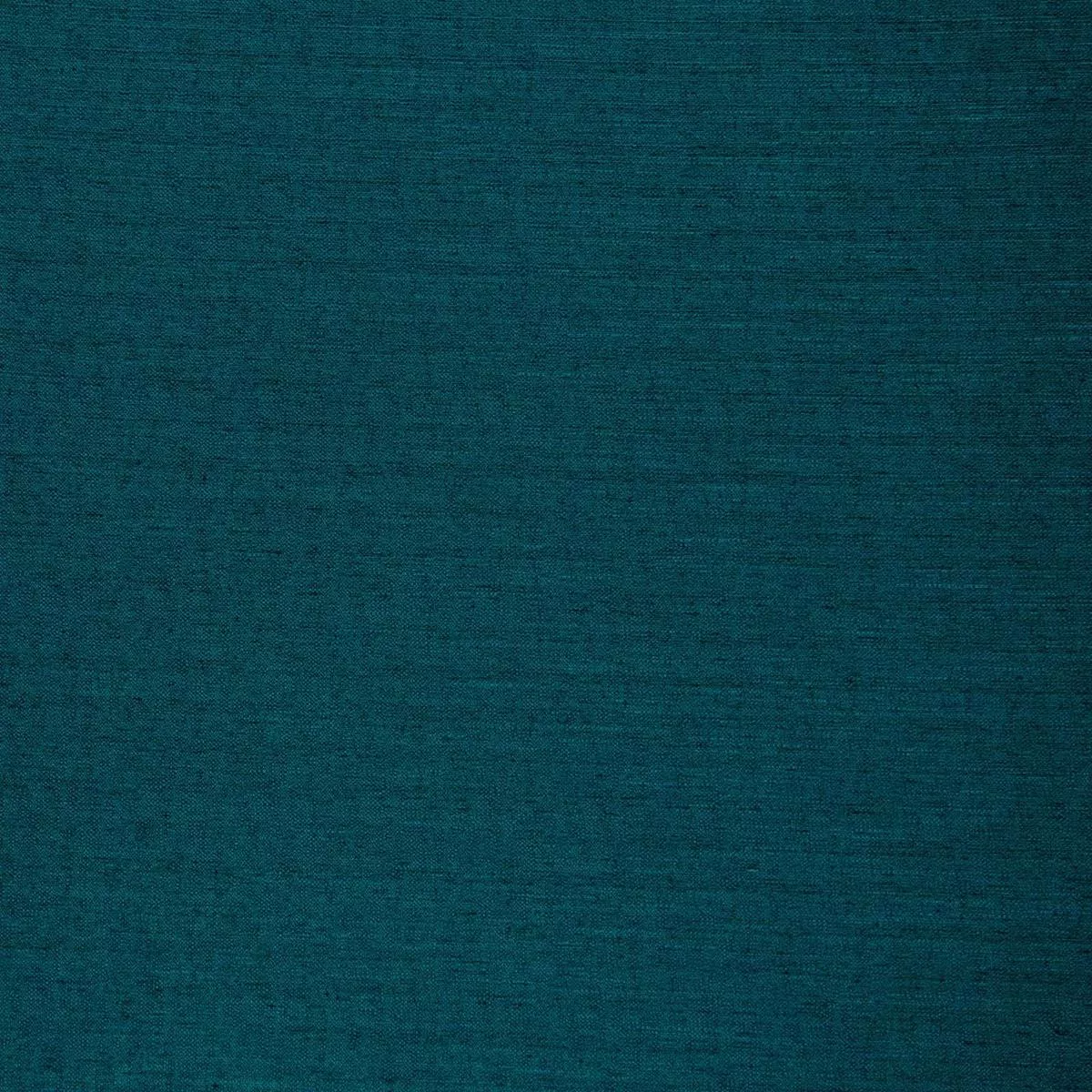 director-dark-teal Director-Dark Teal