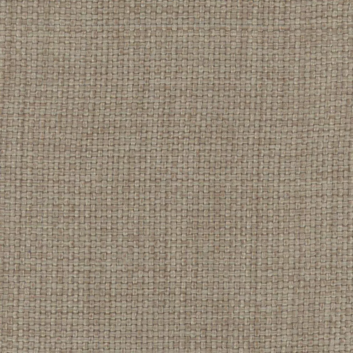 Director’s Cut Doeskin