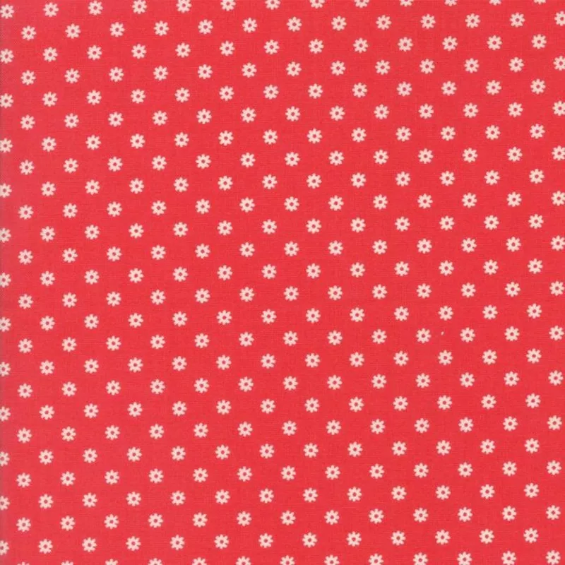 Ditsy Daisy Strawberry