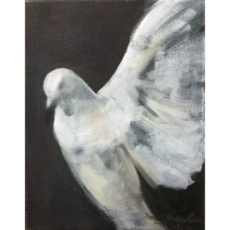 Donna Hughes Dove Study no.3
