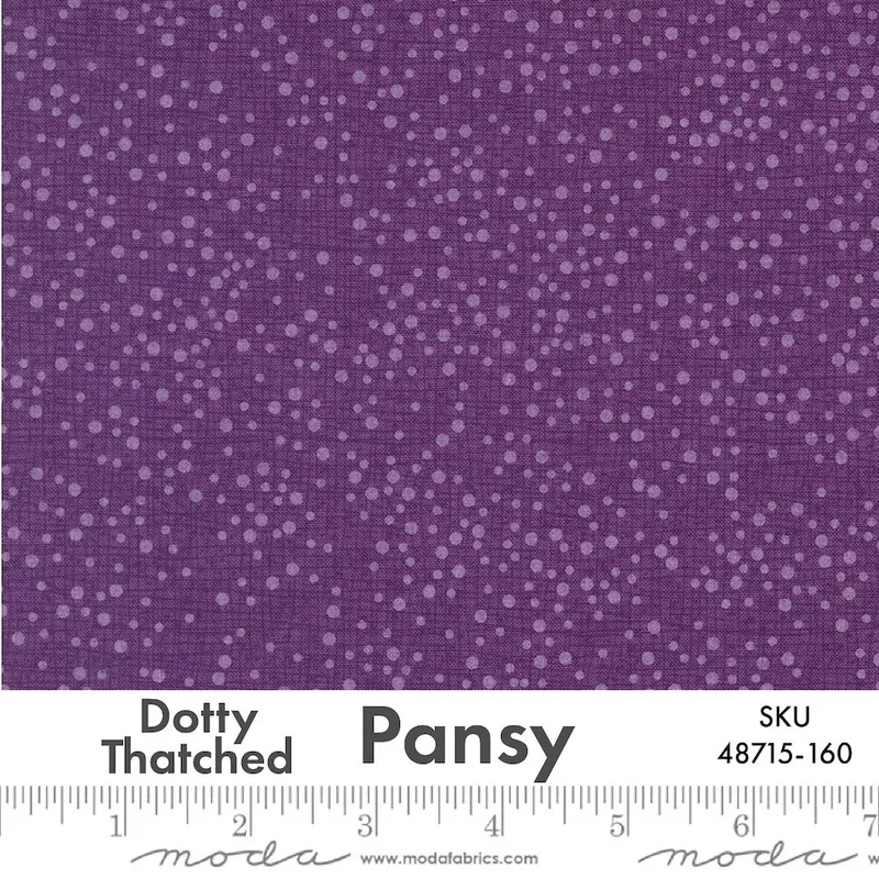 dotty-thatchedpansy48715-160 Dotty ThatchedPansy48715-160