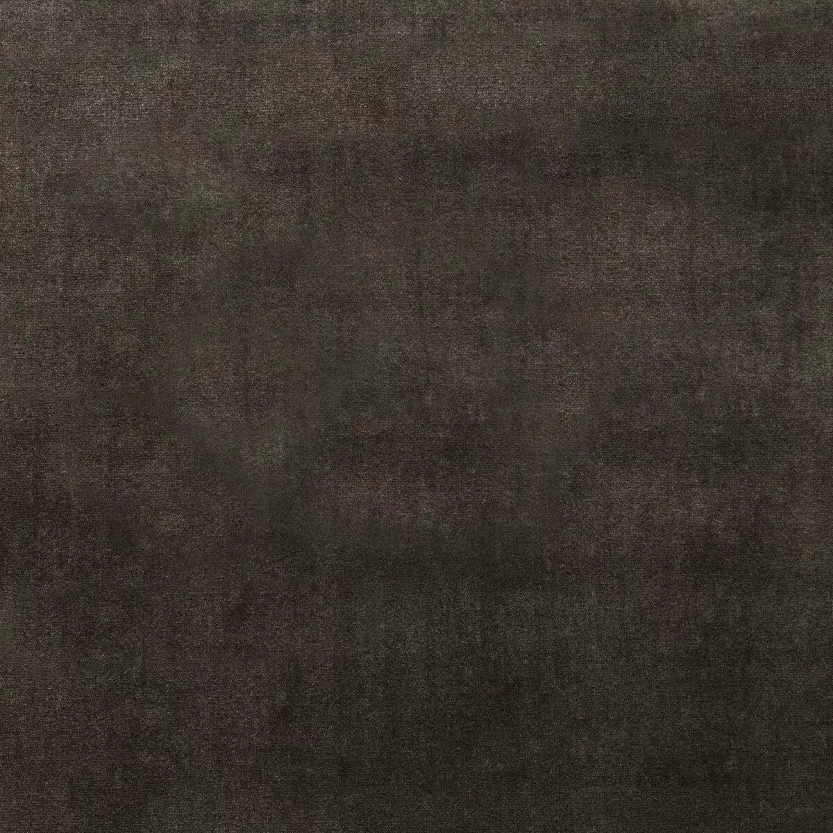 duchess-velvet-charcoal-fabric Duchess Velvet Charcoal Fabric