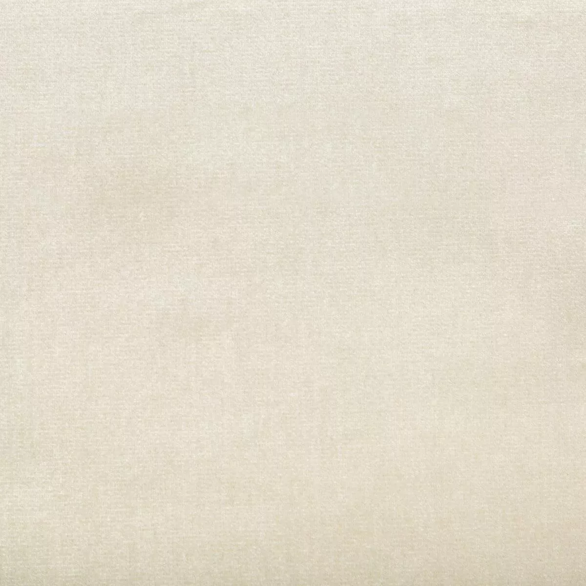 duchess-velvet-ivory-fabric Duchess Velvet Ivory Fabric