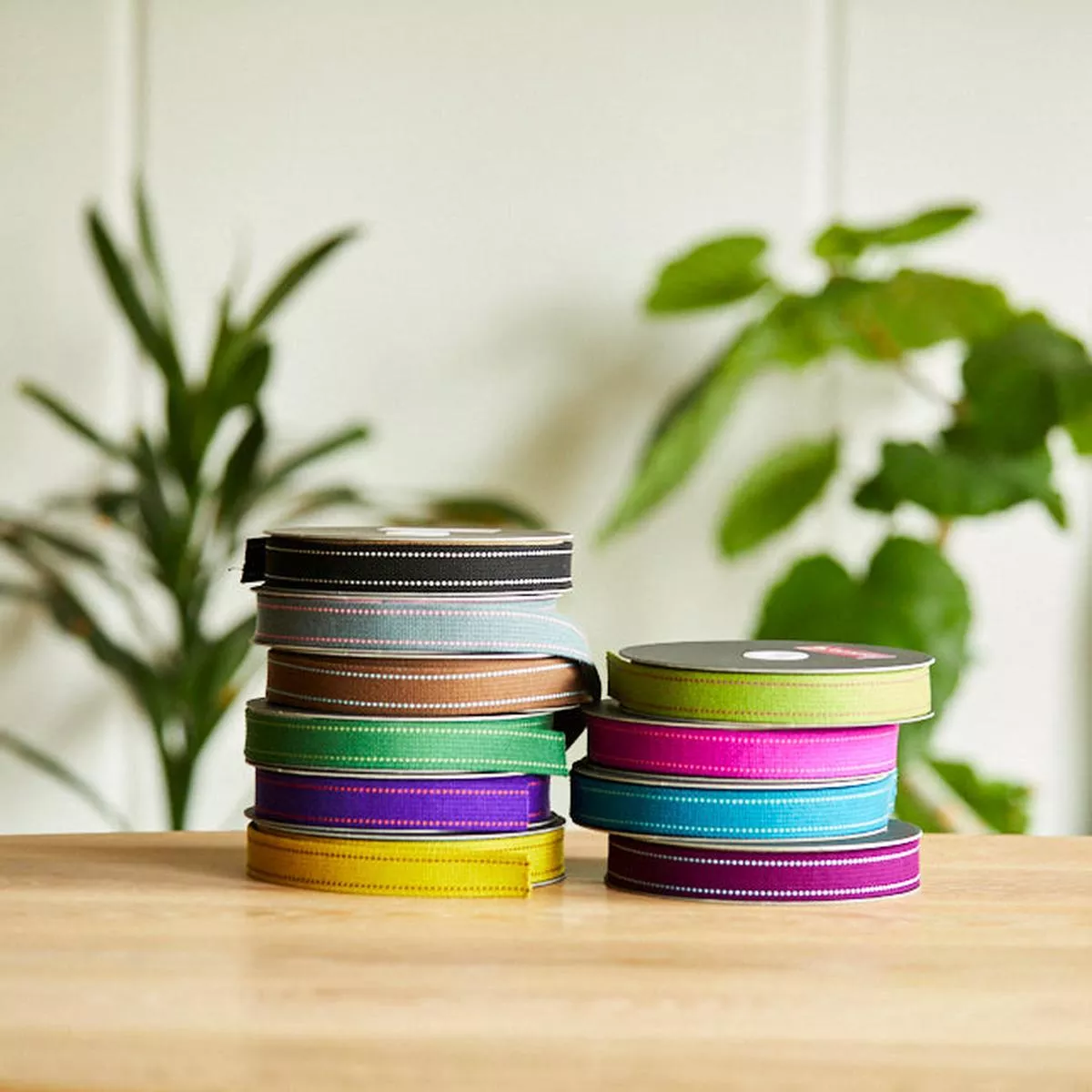 echino-stitch-webbing echino Stitch Webbing