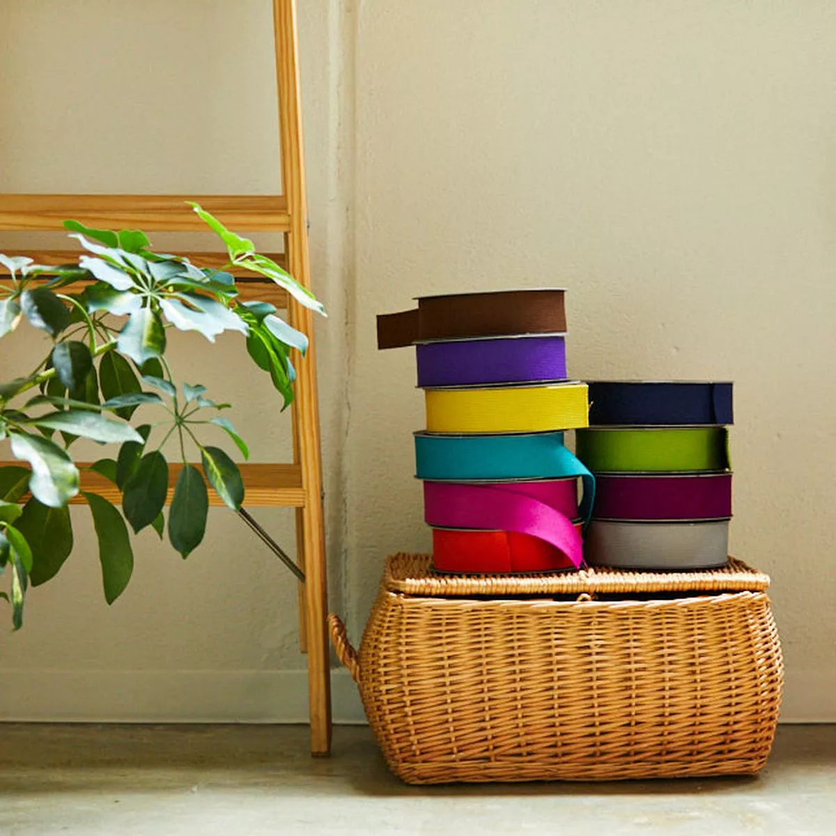 echino Wide Webbing