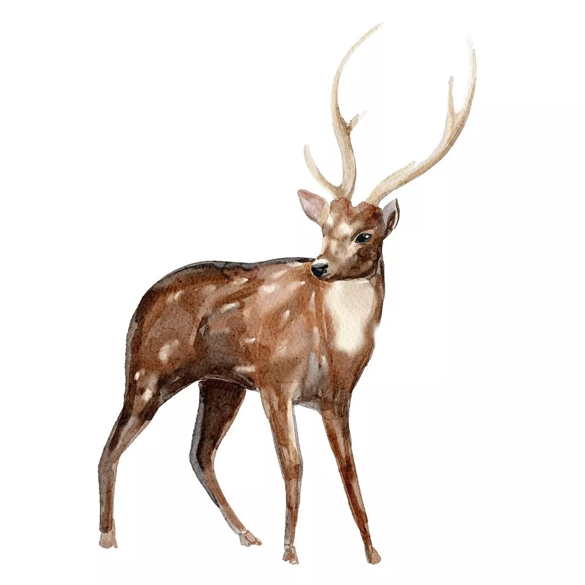 Evergreen Forest Deer #3 Fabric Panel