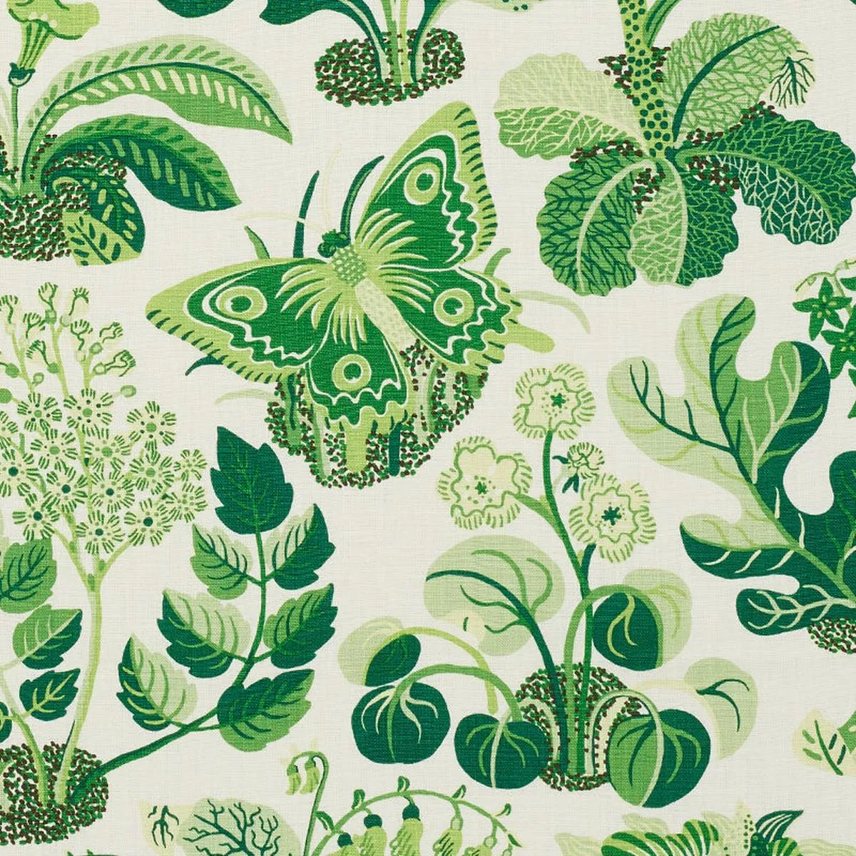 Exotic Butterfly Leaf Fabric