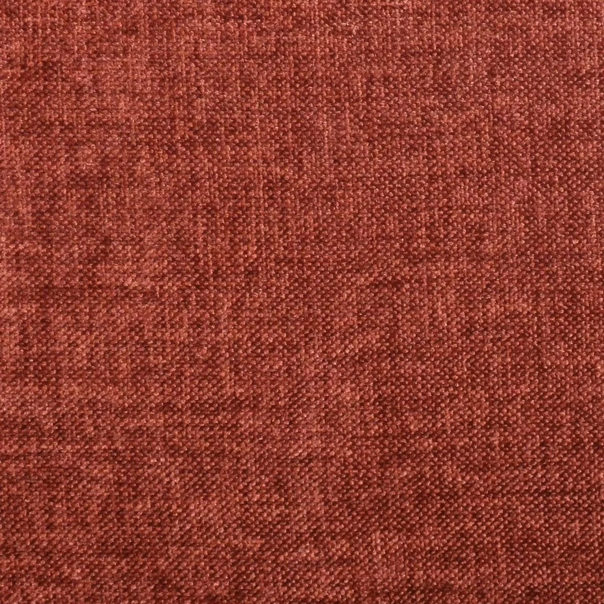 f2369-cayenne F2369 Cayenne