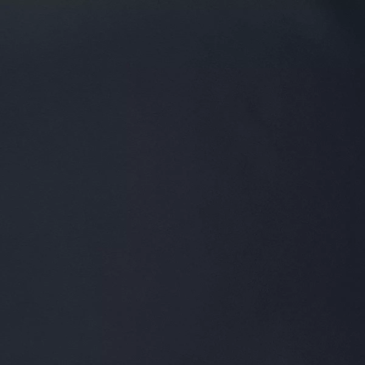 f2891 F2891