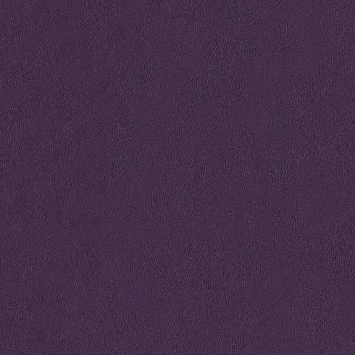 f2893 F2893