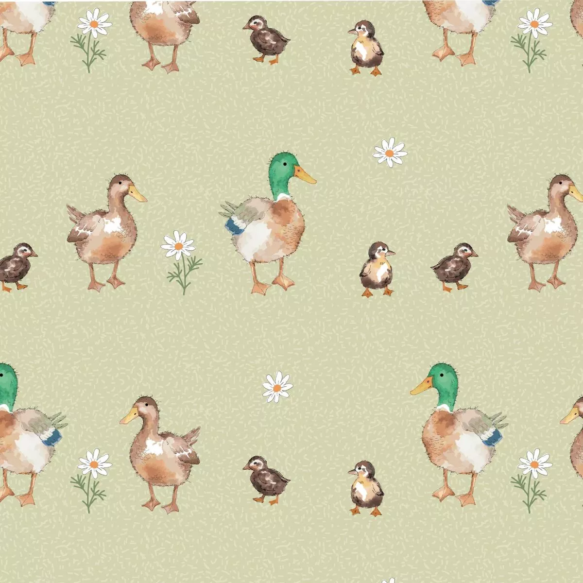 farmyard-mallard-family Farmyard – Mallard Family