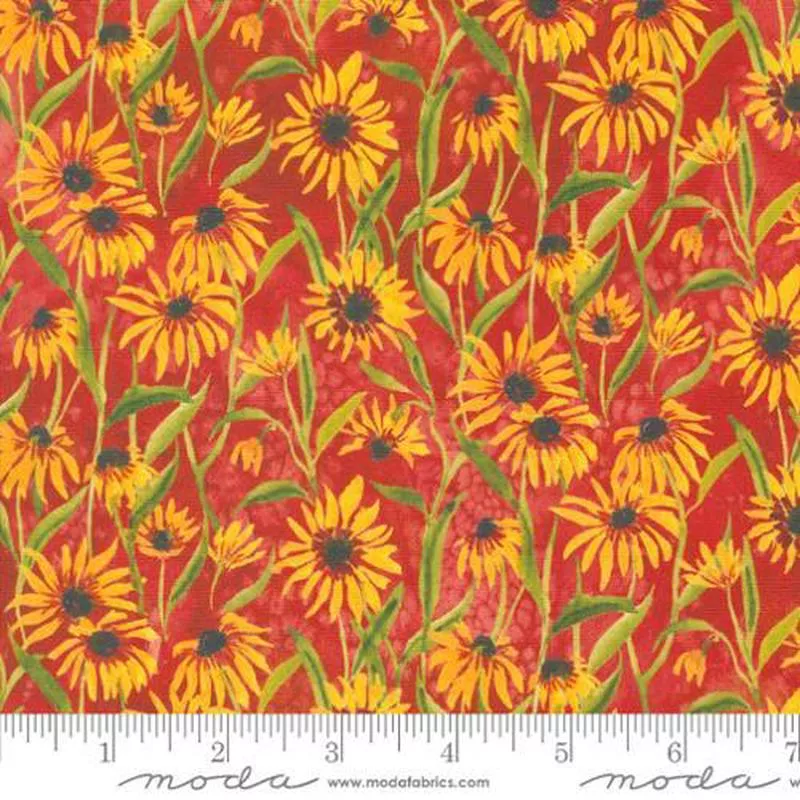 Floribunda Create Joy – Spice– 539805-14