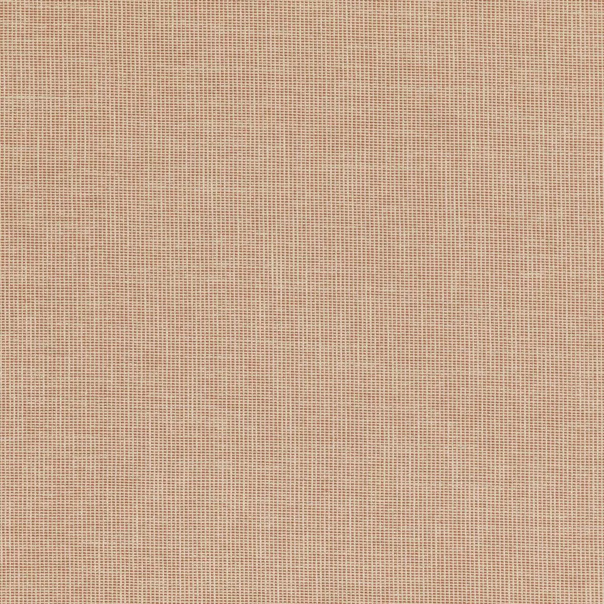 Folly Spice Fabric