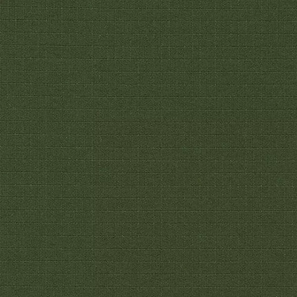 FOREST from Tech Rip Stop — Robert Kaufman