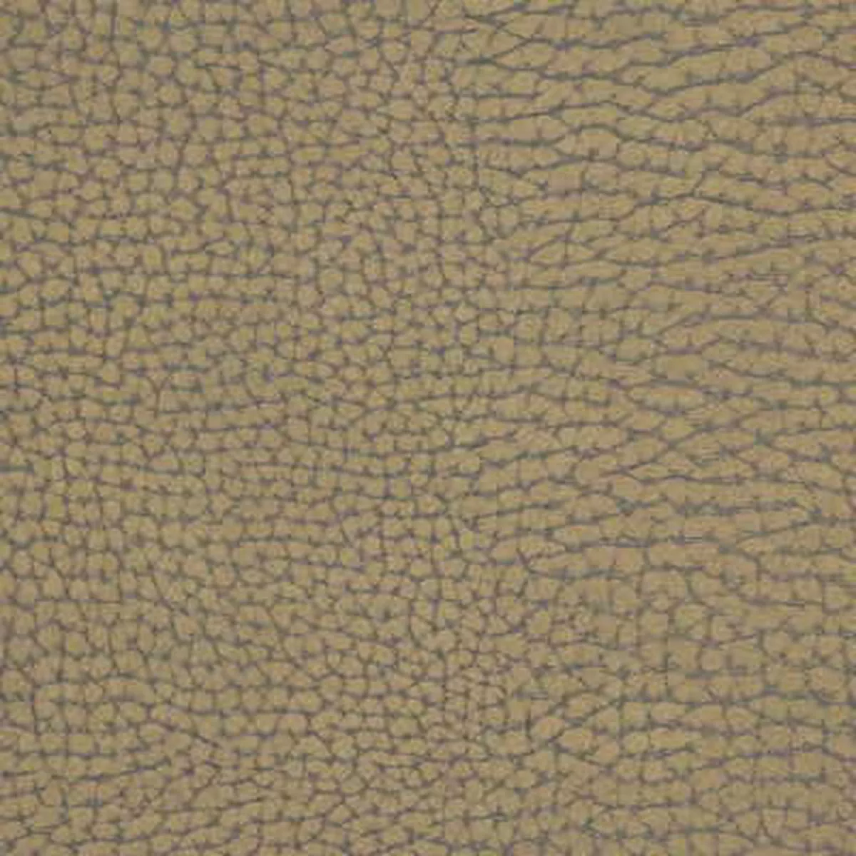forgetful-stone-fabric Forgetful Stone Fabric