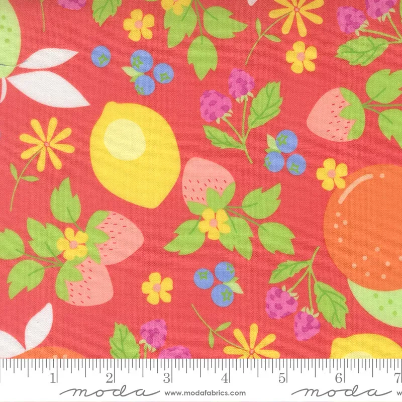 fruit-salad-flamingo-fruits-yardage-by-corey-yoder-moda-fabrics Fruit Salad Flamingo Fruits Yardage by Corey Yoder for Moda Fabrics