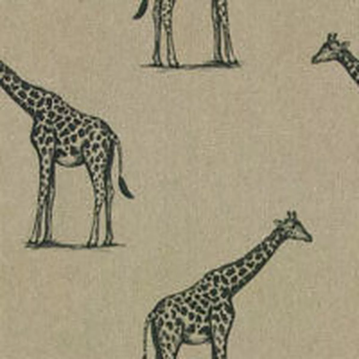 giraffe-col1-order-sample Giraffe – Col1 | Order A Sample