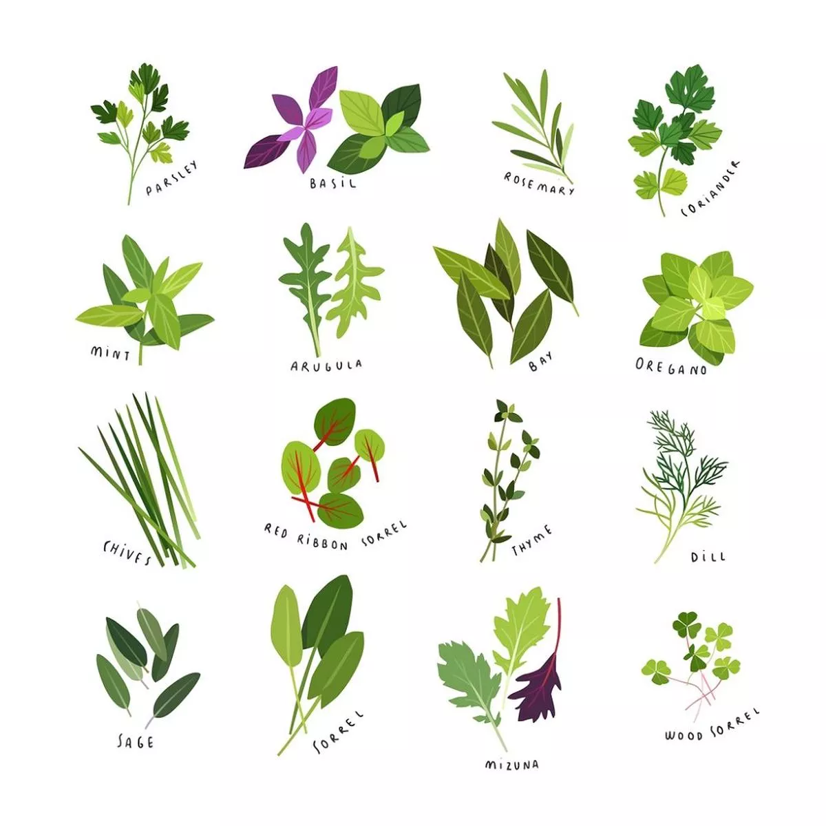 Herbs & Spices Fabric Panel – White