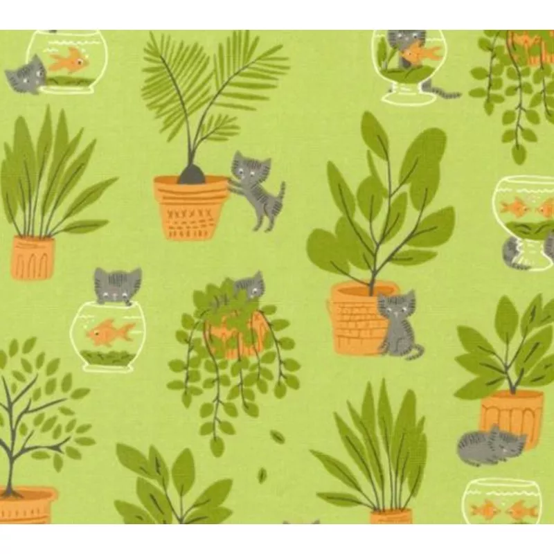 here-kitty-kitty-in-pistachio Here Kitty Kitty in Pistachio