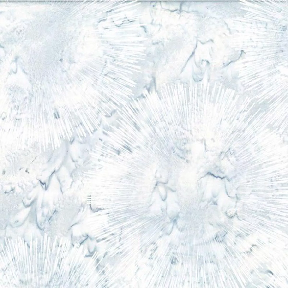 Hoffman Burst W2595 113 Frost