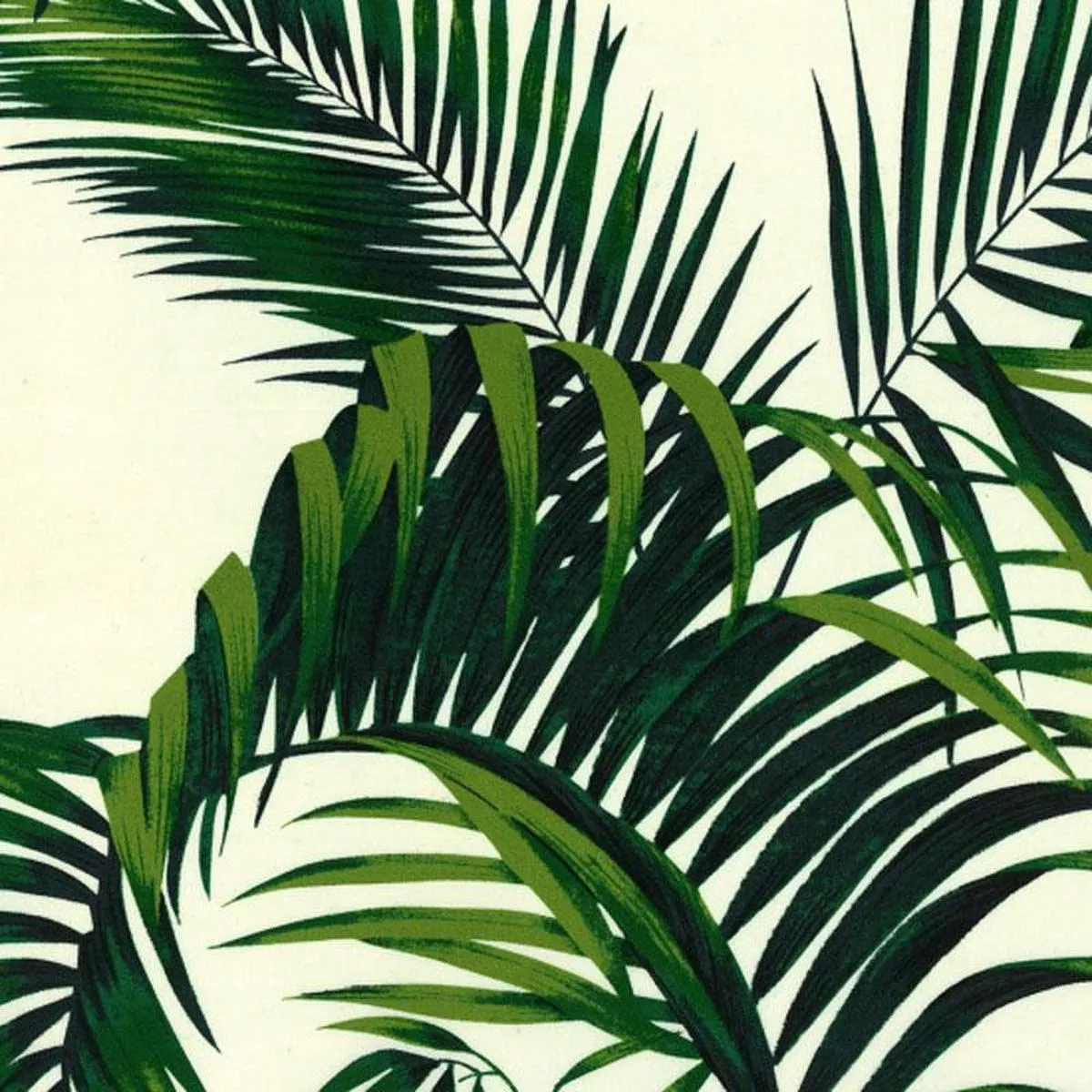 hoffman-tropicals-conversationals-bblk-1131-22-ivory Hoffman Tropicals & Conversationals BBLK 1131 22 Ivory