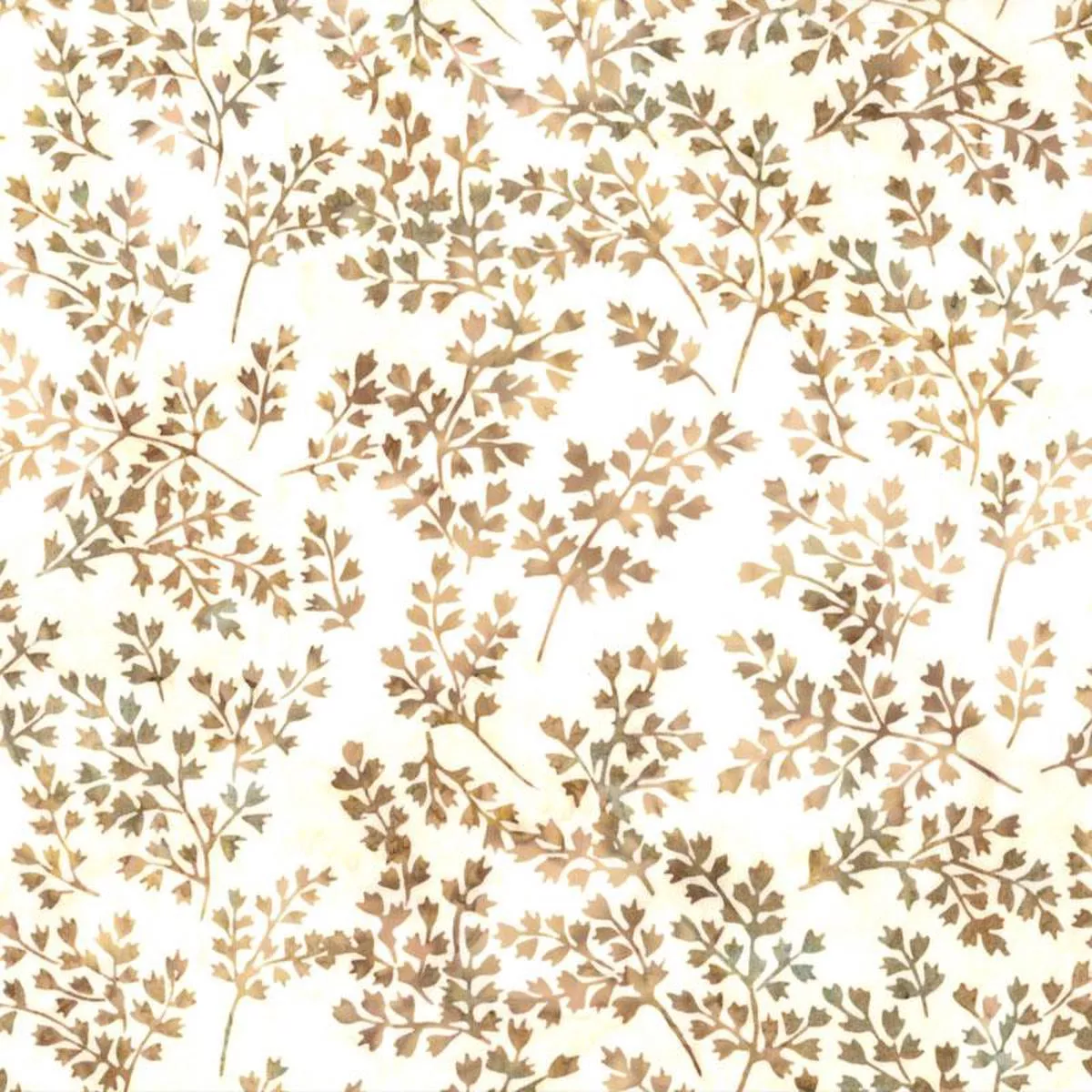 Hoffman Winter Leafy X2619 84 Wheat