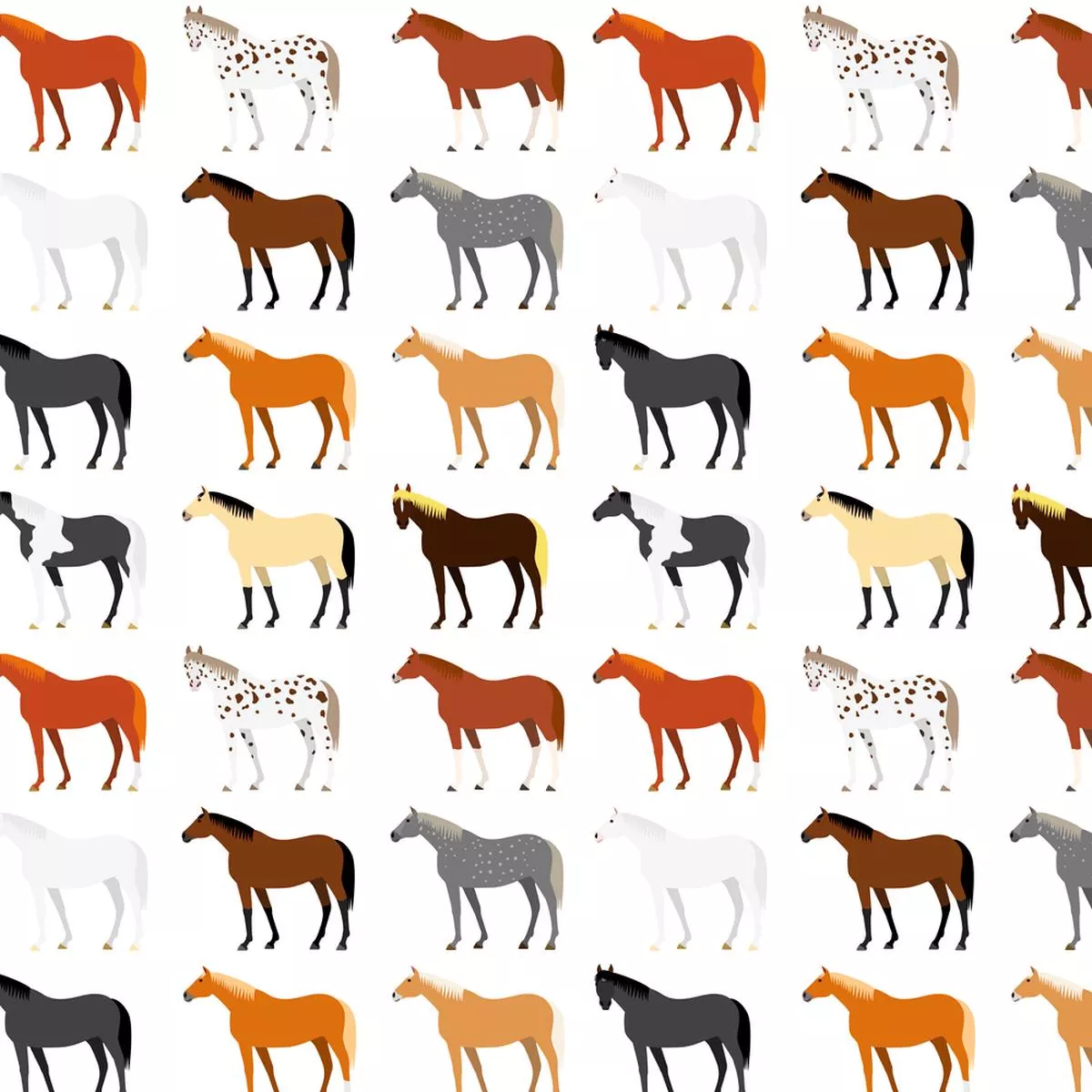 horse-breed-fabric-multi Horse Breed Fabric – Multi