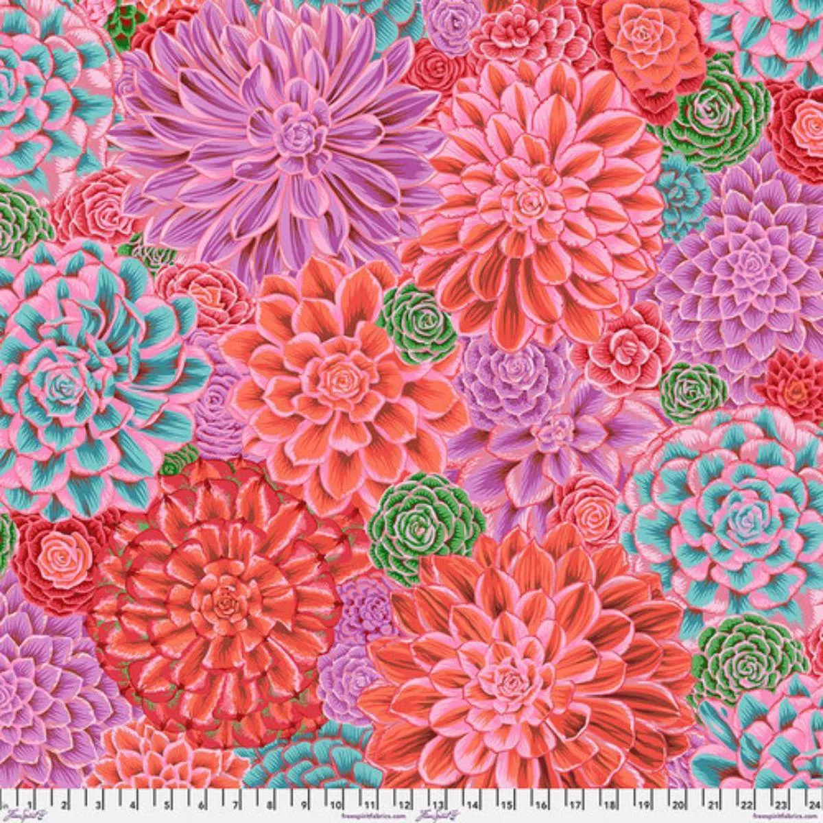 house-leeks-pink-by-philip-jacobs House Leeks Pink by Philip Jacobs