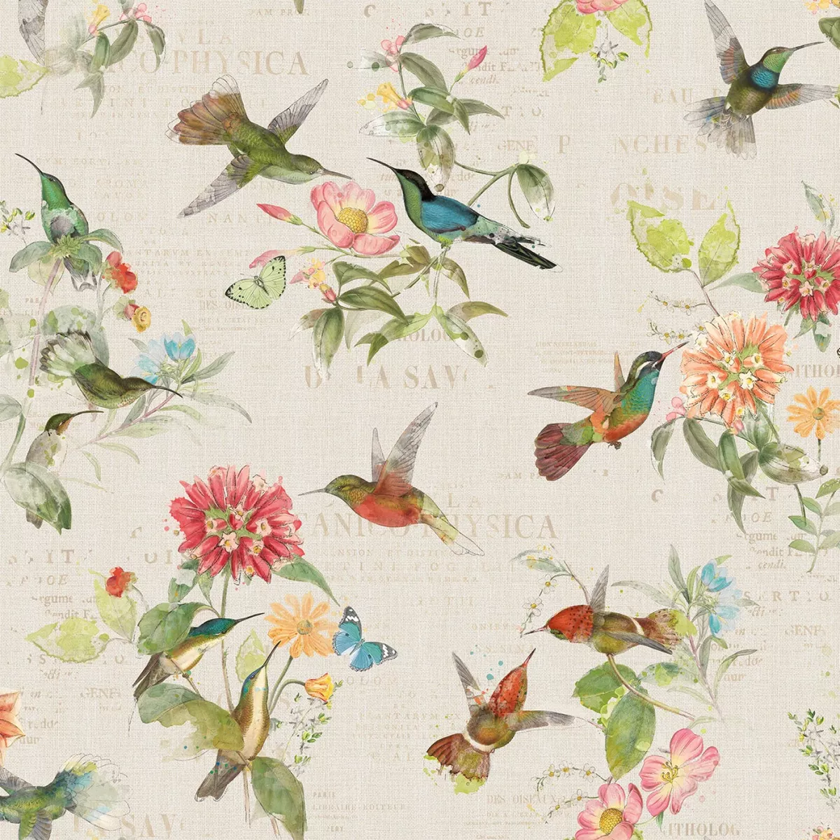 hummingbird-days Hummingbird Days