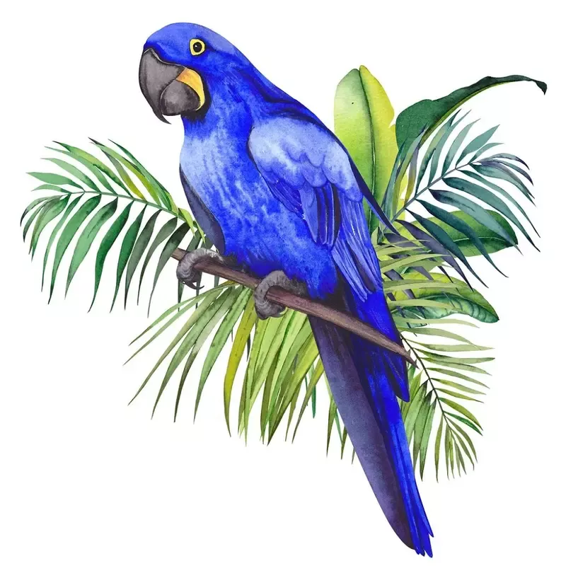 Hyacinth Macaw Fabric Panel