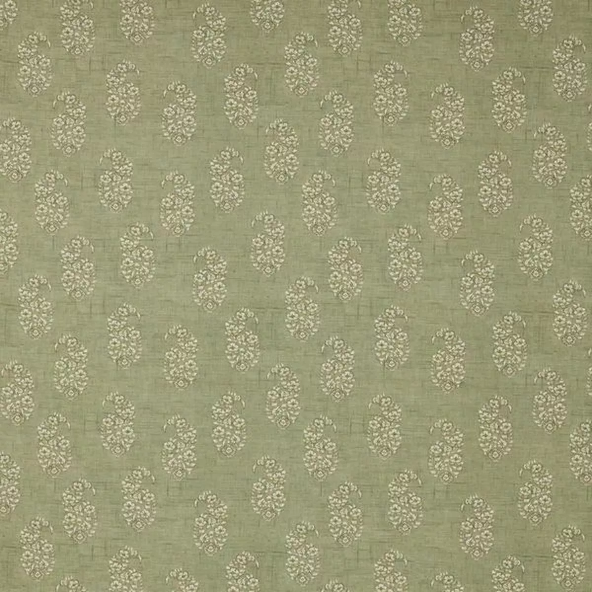 iliv-thalassa-pine ILiv Thalassa Pine