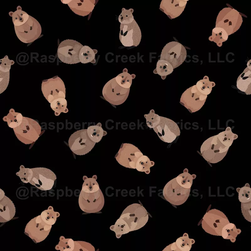 Illustrated Quokkas on Black