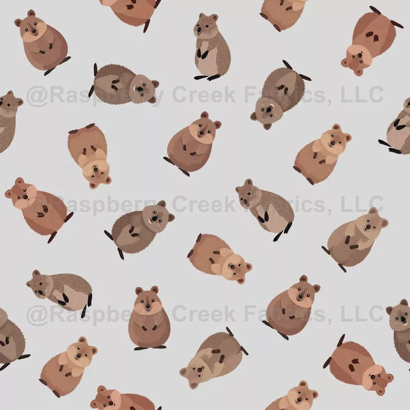 Illustrated Quokkas on Light Gray
