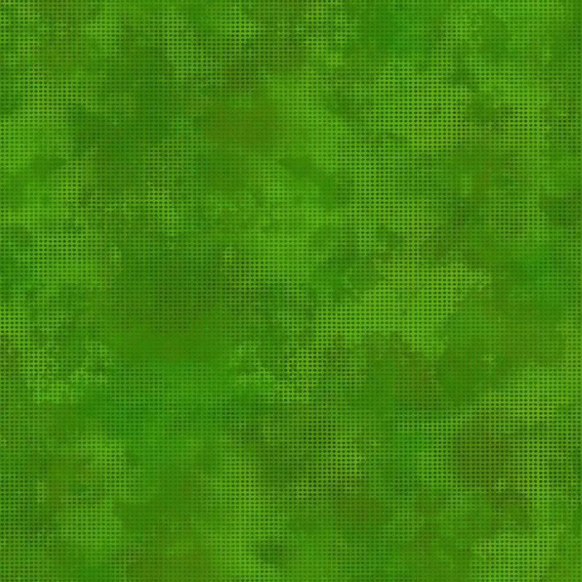In the Beginning Dit Dot Evolution 1DDE 23 Forest