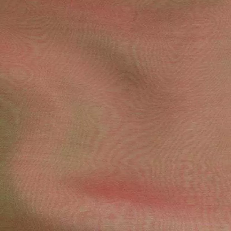 Iridescent Silk Chiffon Brick / Lime