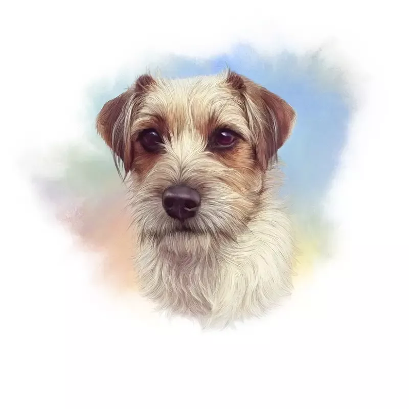 jack-russell-terrier-portrait-fabric-panel Jack Russell Terrier Portrait Fabric Panel