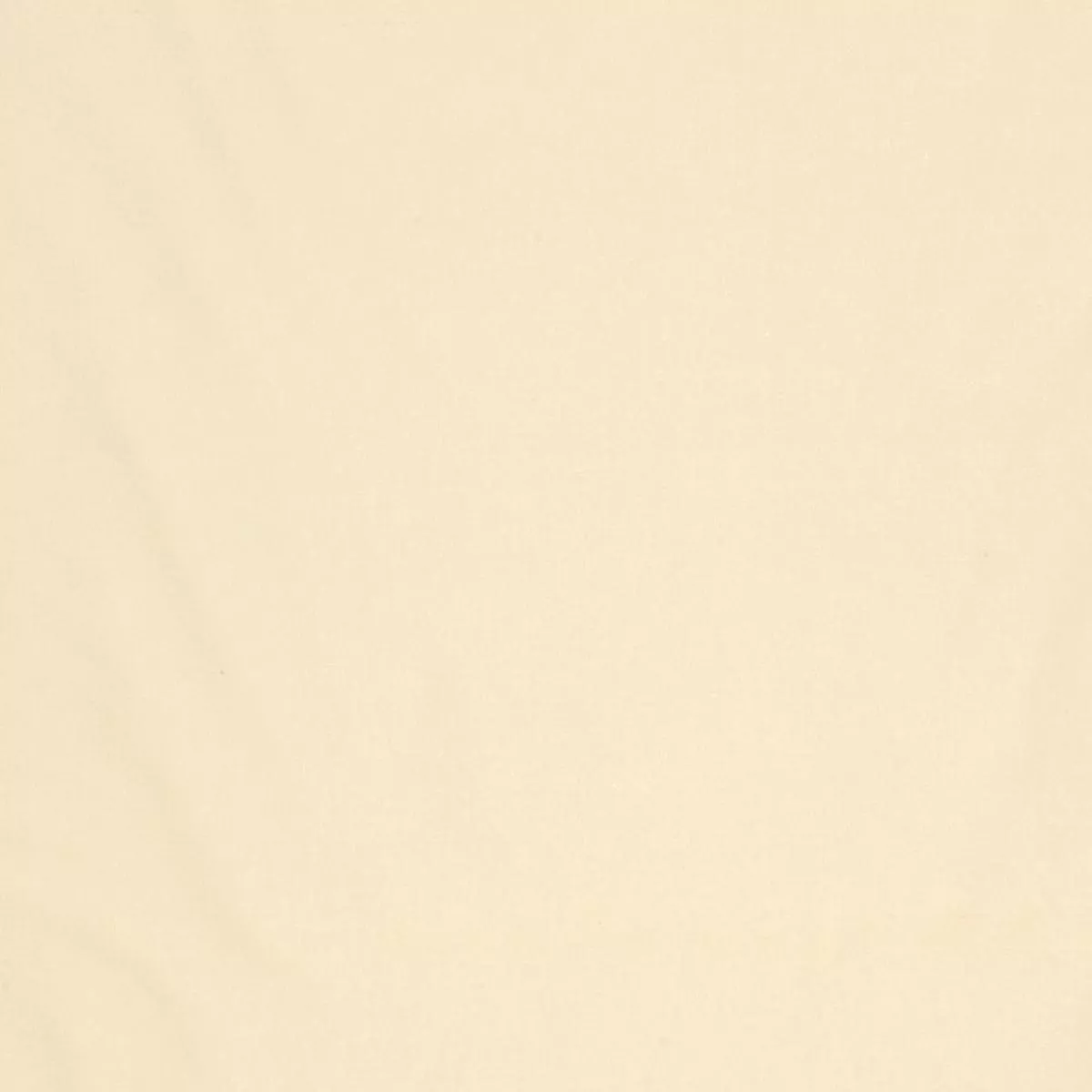 Jamila Ii – Champagne by Scalamandre Fabric