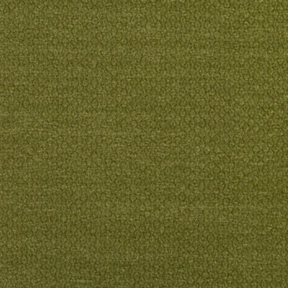 Komodo Citrus Covington Fabri