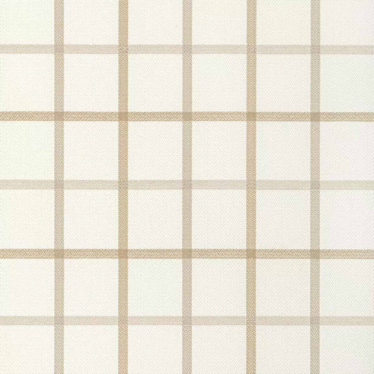 Kravet Basics 36023-16 Fabric