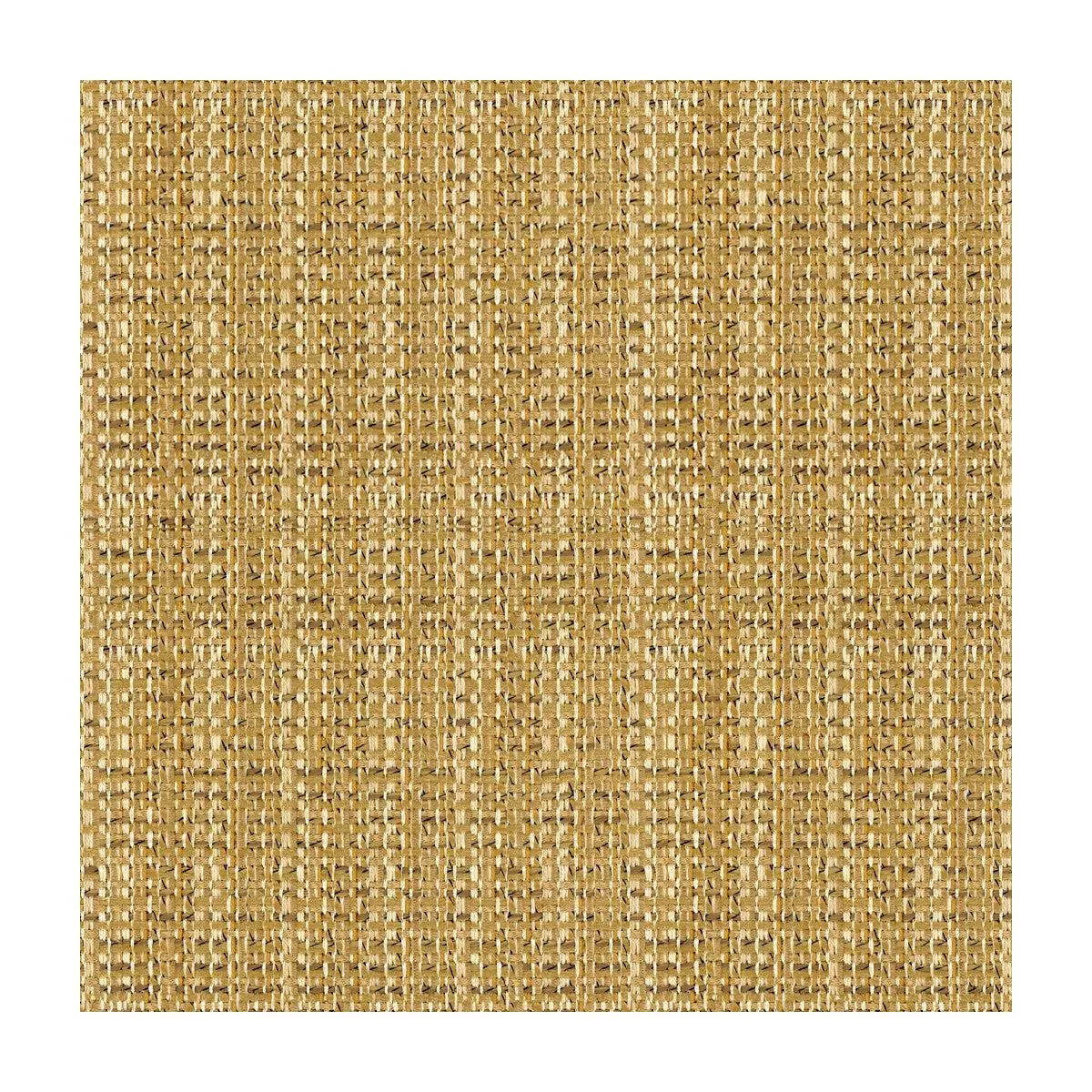 Kravet Design 34210-416 Fabric