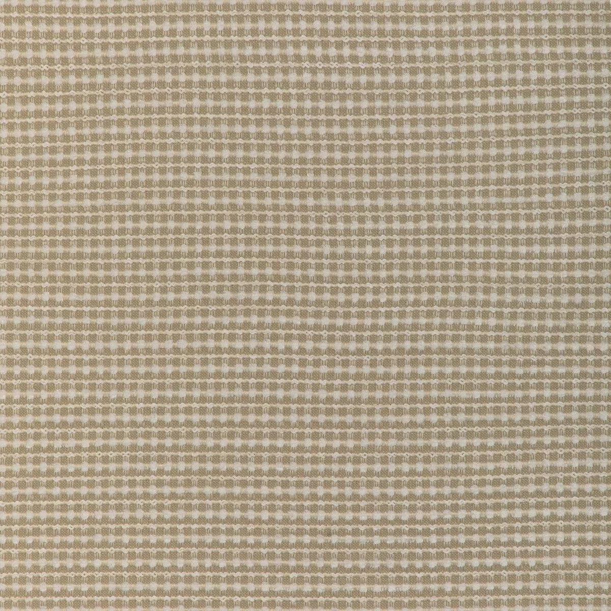 Kravet Design 37175-161 Fabric